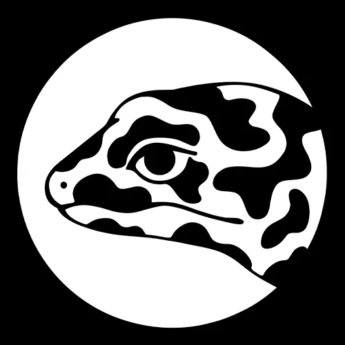 HansoGeckon